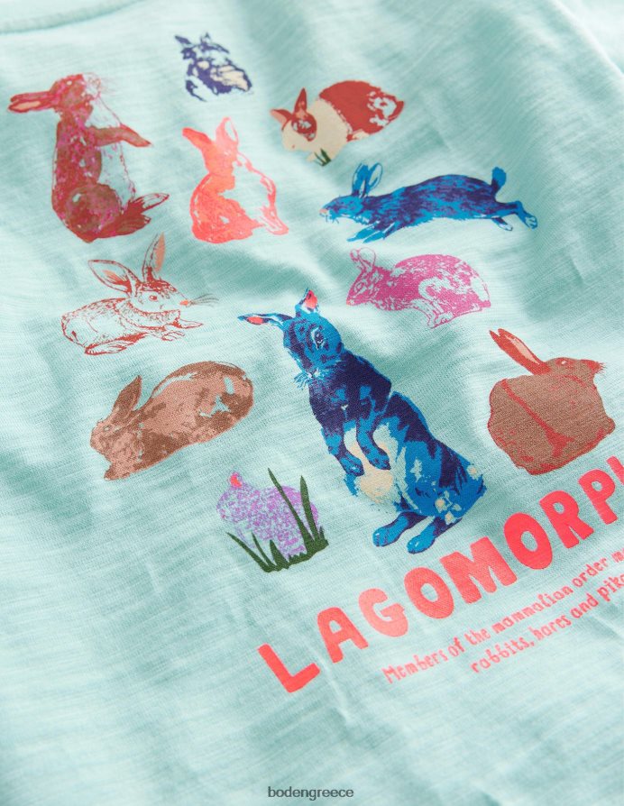 πράσινο οπάλιο είδη ένδυσης χαλαρό μπλουζάκι με στάμπα Boden μωρό 464PH8425